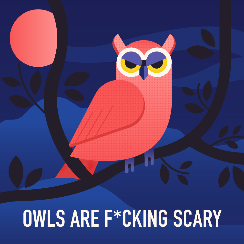 owl