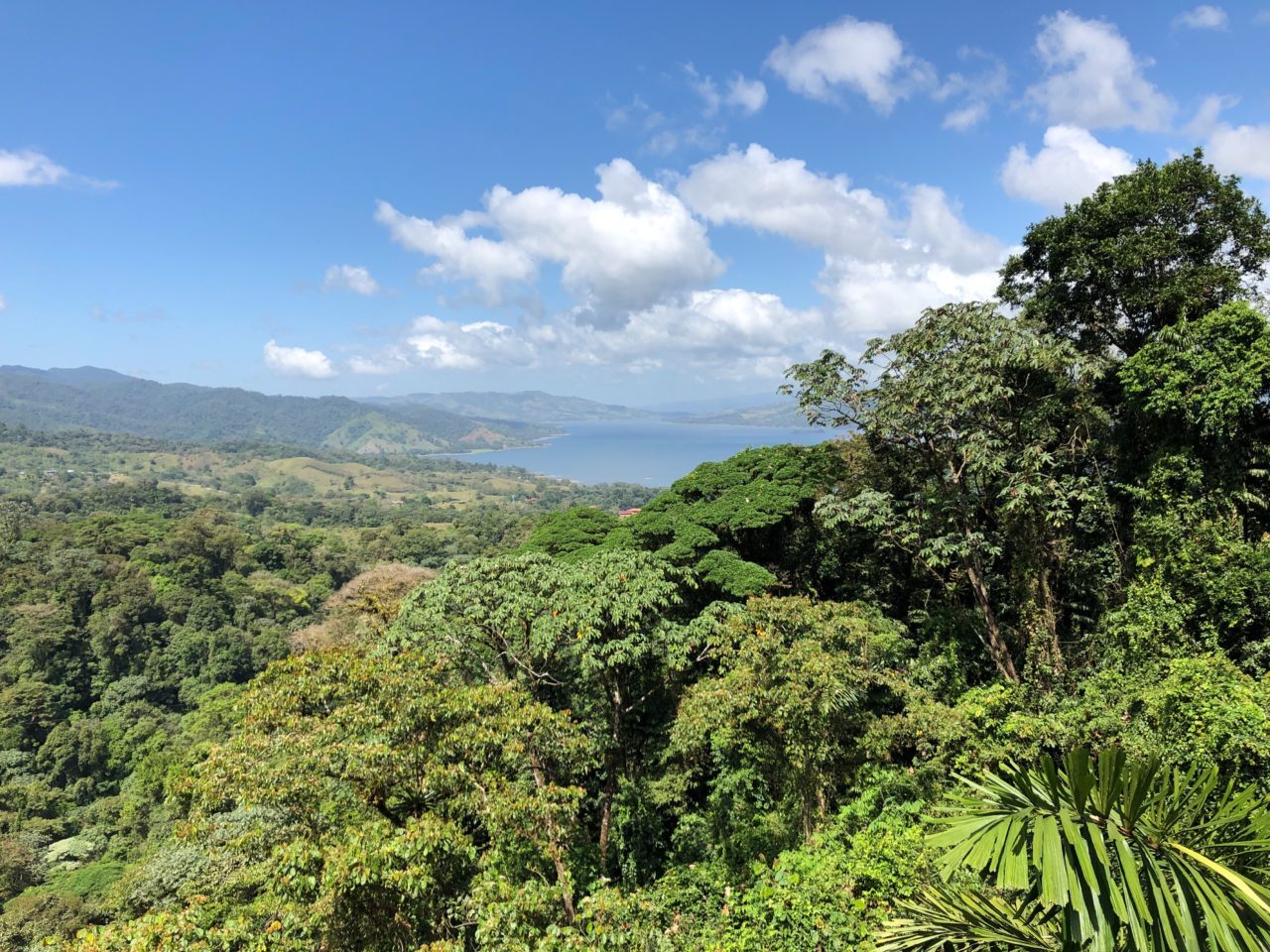 forest view of Costa Rica
