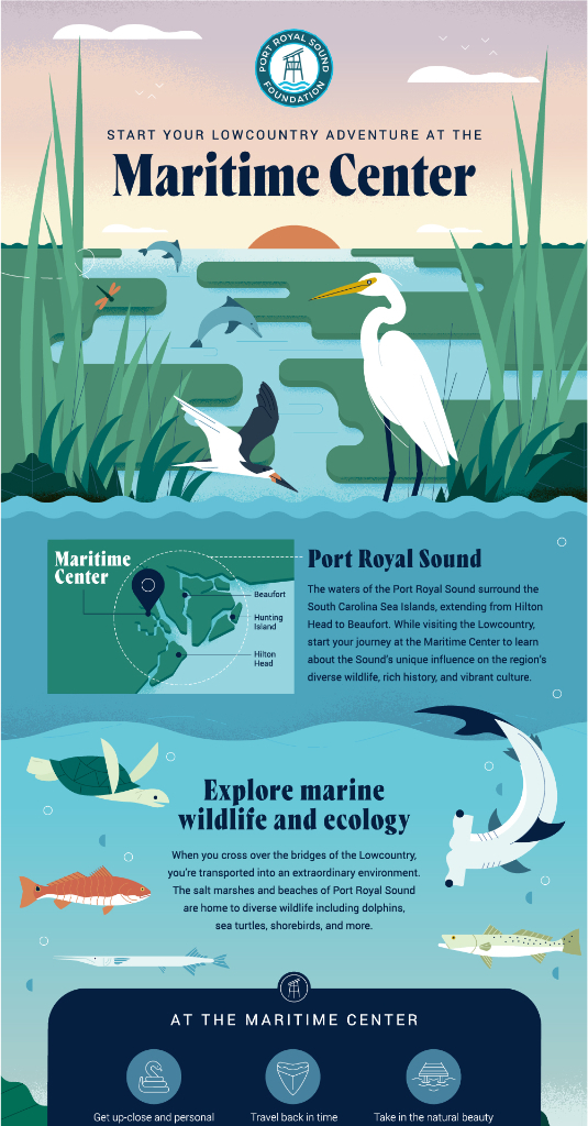 Start Your Lowcountry Adventure | Animated Infographic for the Port Royal Sound Foundation