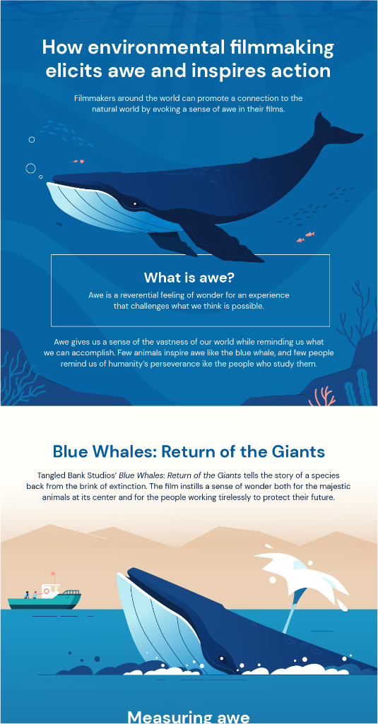 How Environmental Filmmaking Elicits Awe and Inspires Action | Infographic for Tangled Bank Studios