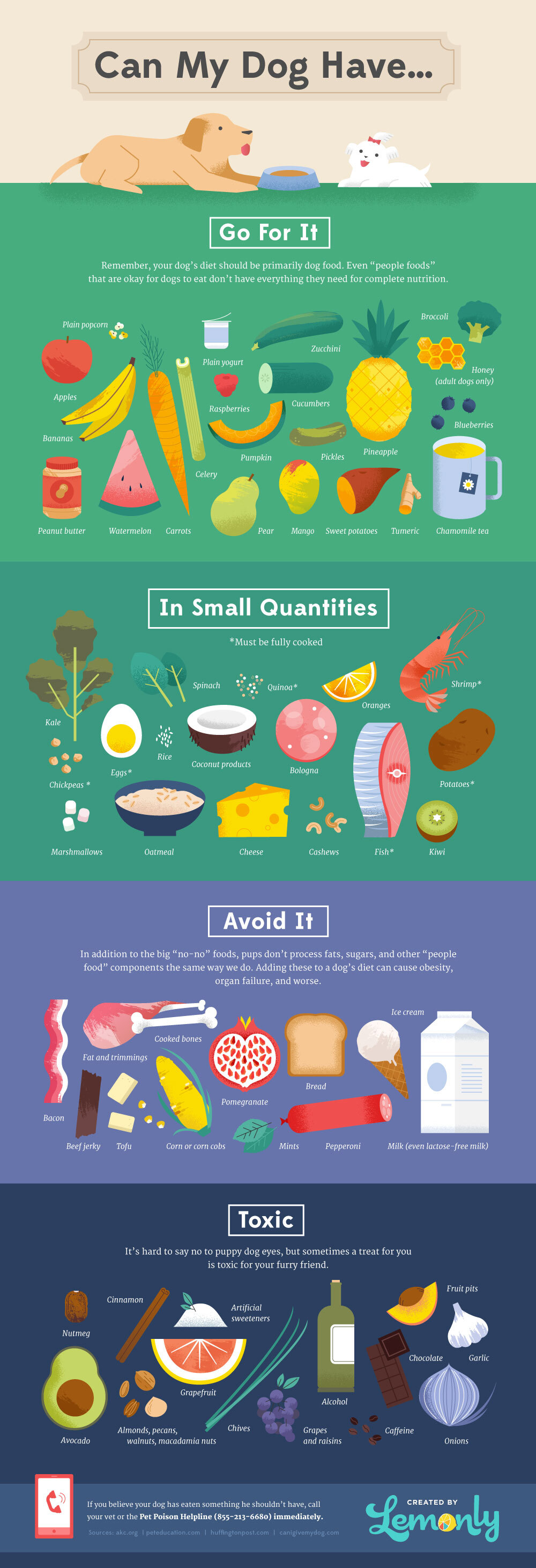 Guide to What Human Food Dogs Can Have - Lemonly
