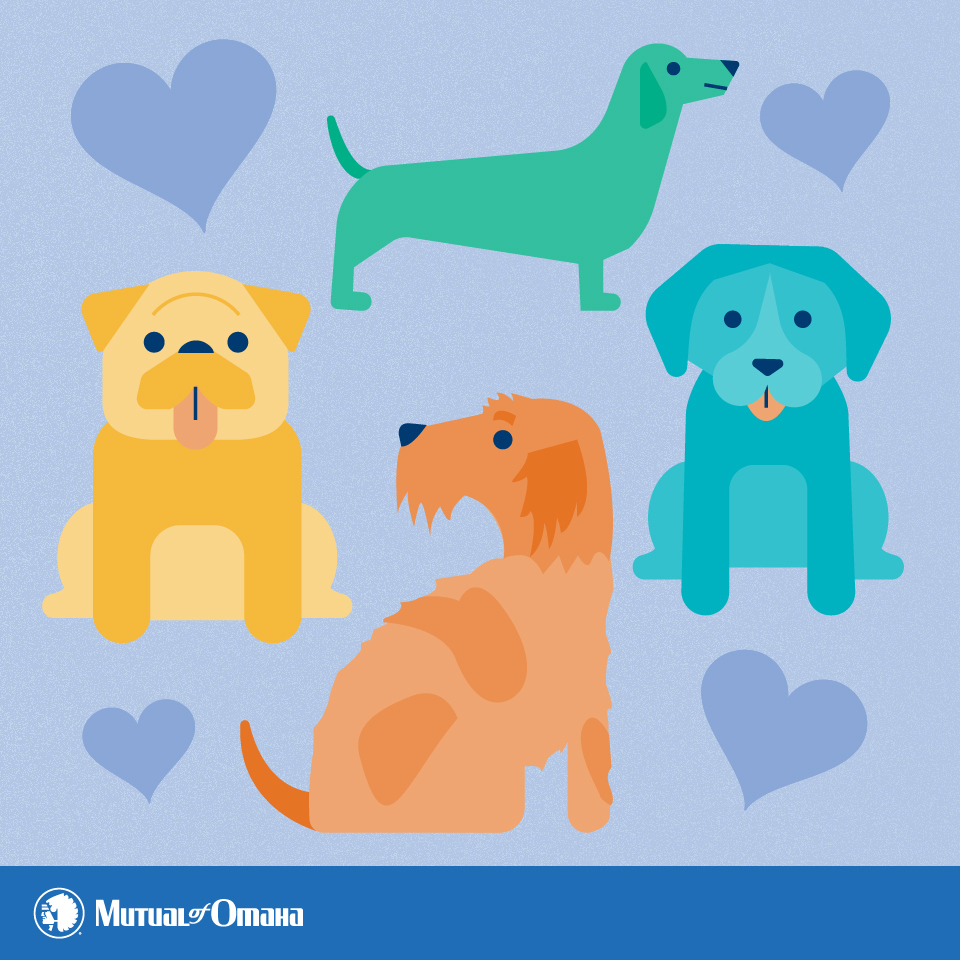 Mutual of Omaha – National Dog Day