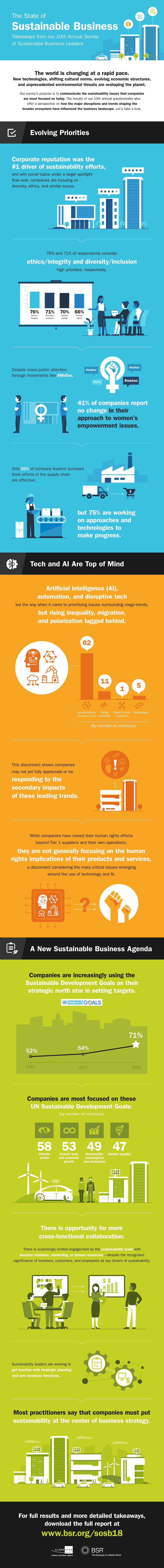 The State of Sustainable Business - BSR