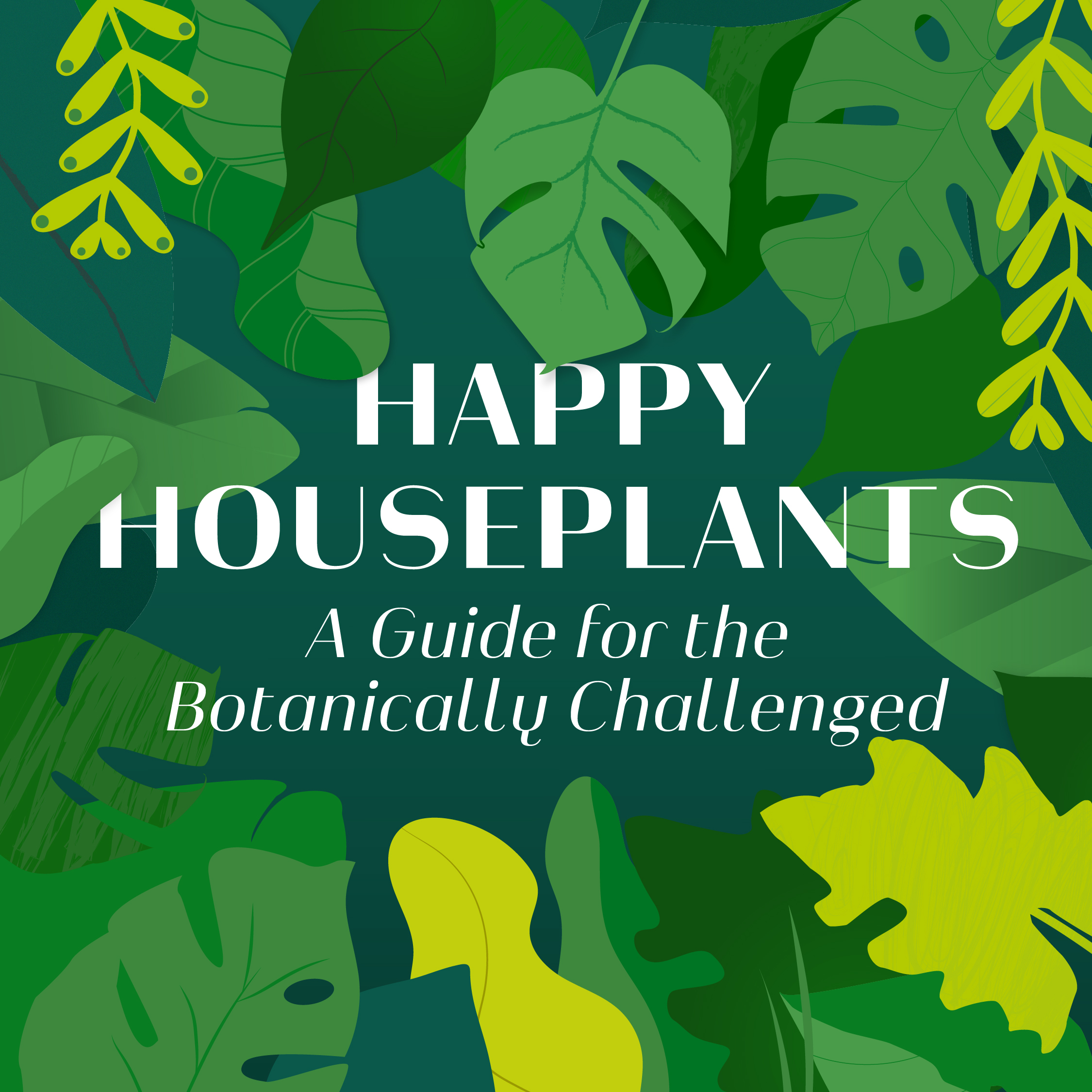 Your Guide to Happy Houseplants Infographic | Lemonly