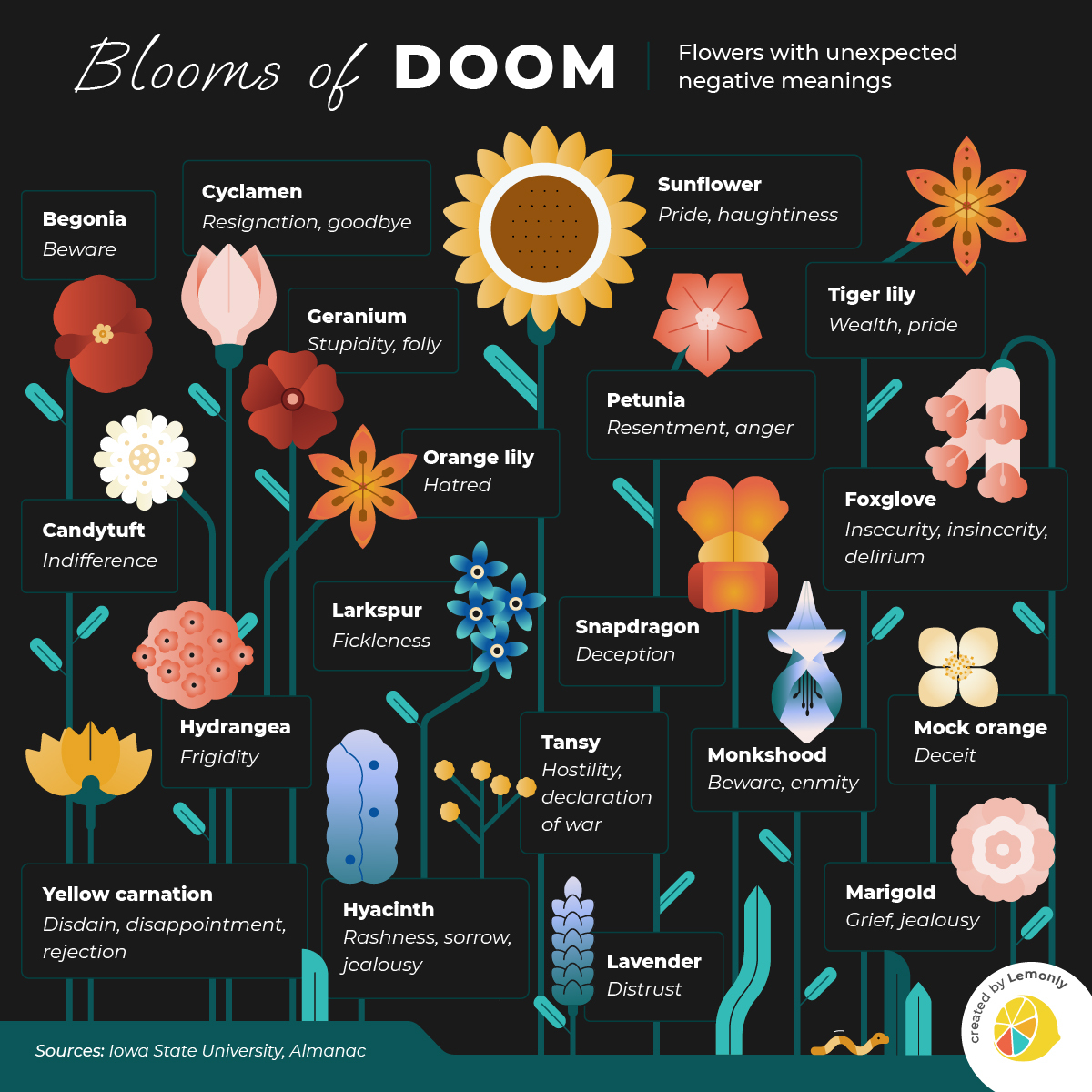 Flowers with Unexpected Negative Meanings | Lemonly