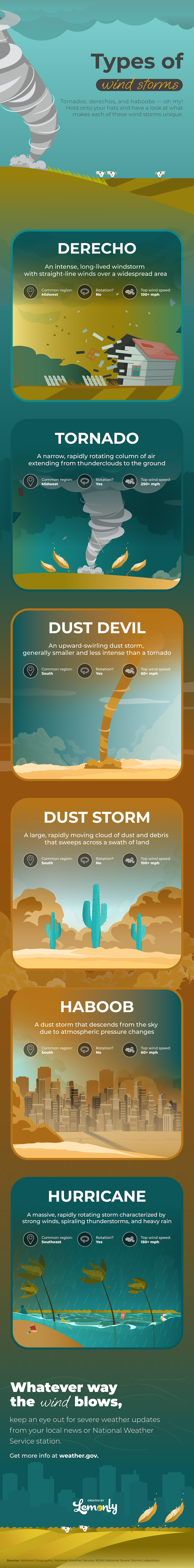 Types of Wind Storms | Lemonly