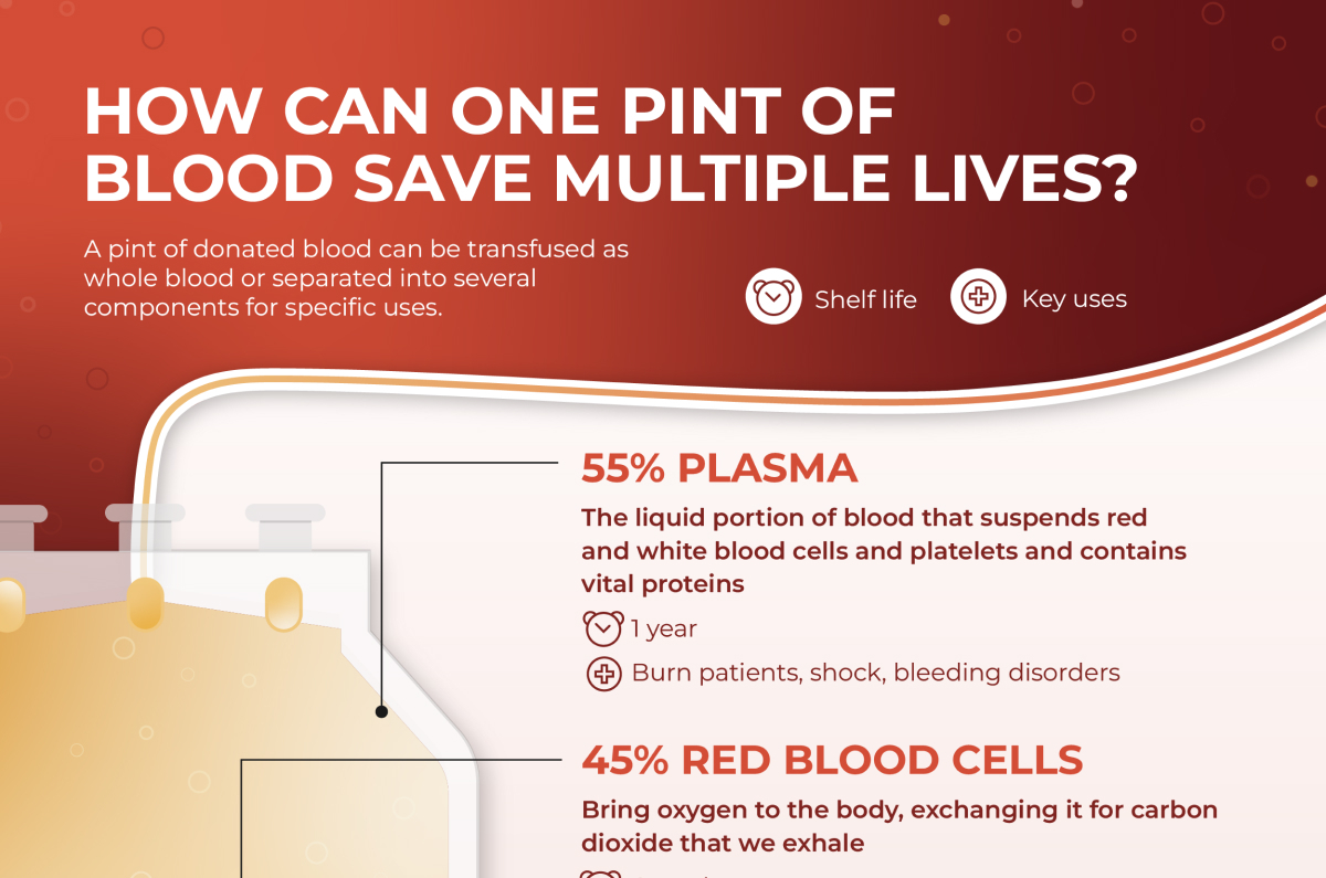 How One Blood Donation Can Save Multiple Lives | Infographic by Lemonly