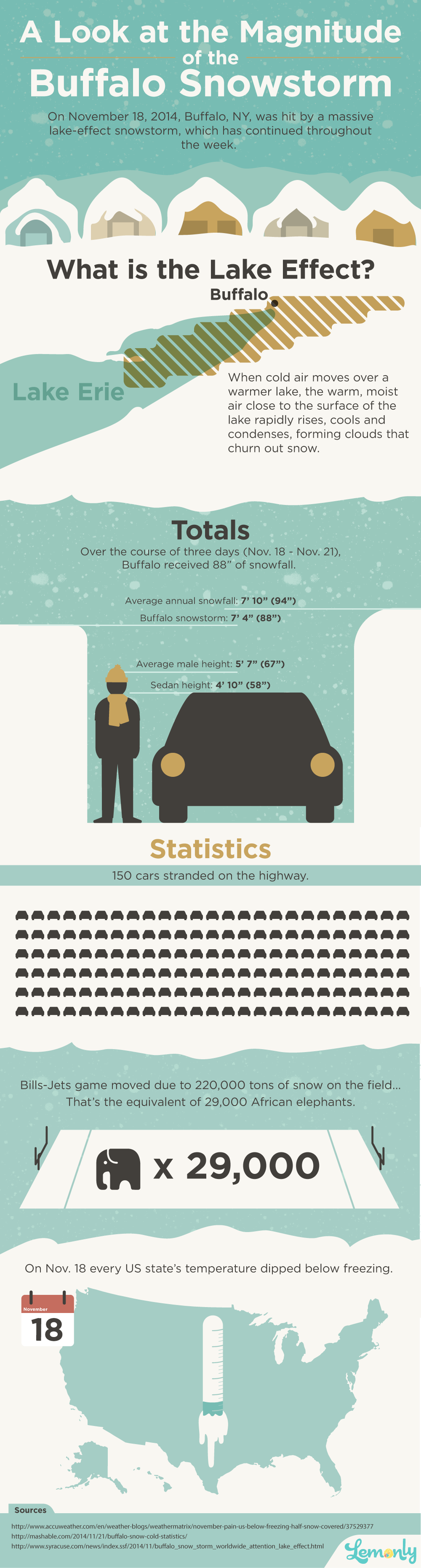 The Magnitude of the Buffalo Snowstorm | Infographic by Lemonly