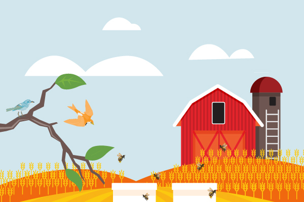 CLIF Kid Nutrition Pact Infographic