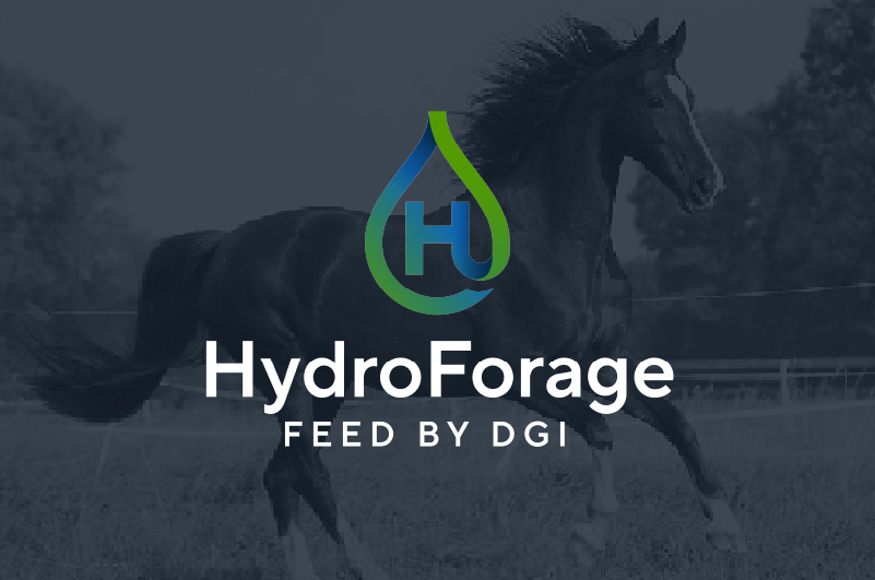 DGI Hydroforage Logo