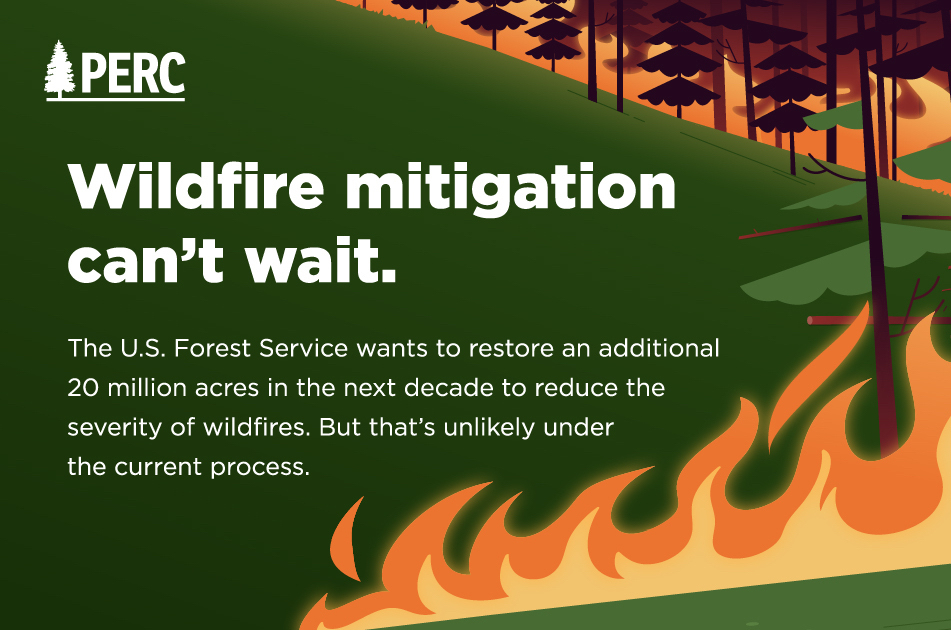 Wildfire Mitigation Can’t Wait | PERC