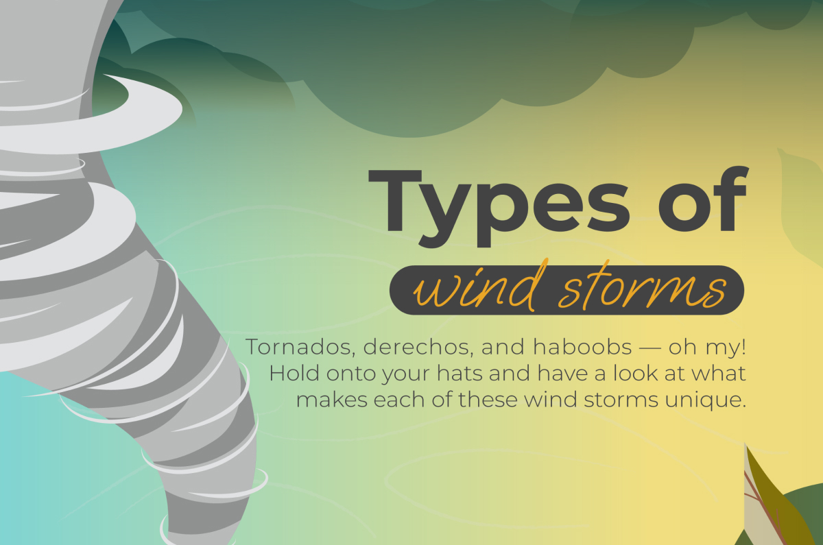 Types of Wind Storms | Lemonly