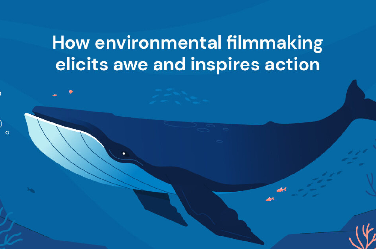 How Environmental Filmmaking Elicits Awe and Inspires Action | Tangled Bank Studios