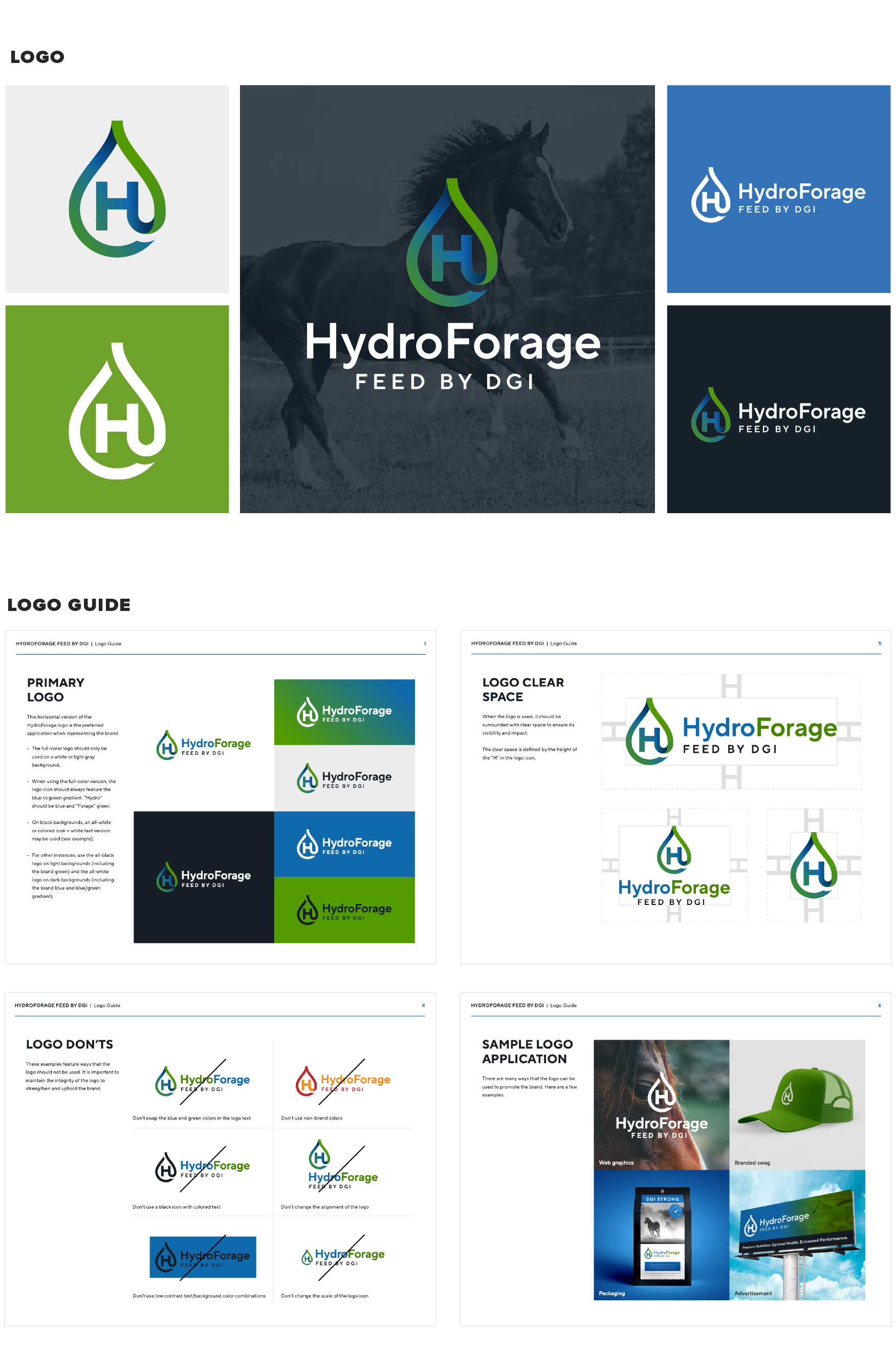 DGI Hydroforage Logo